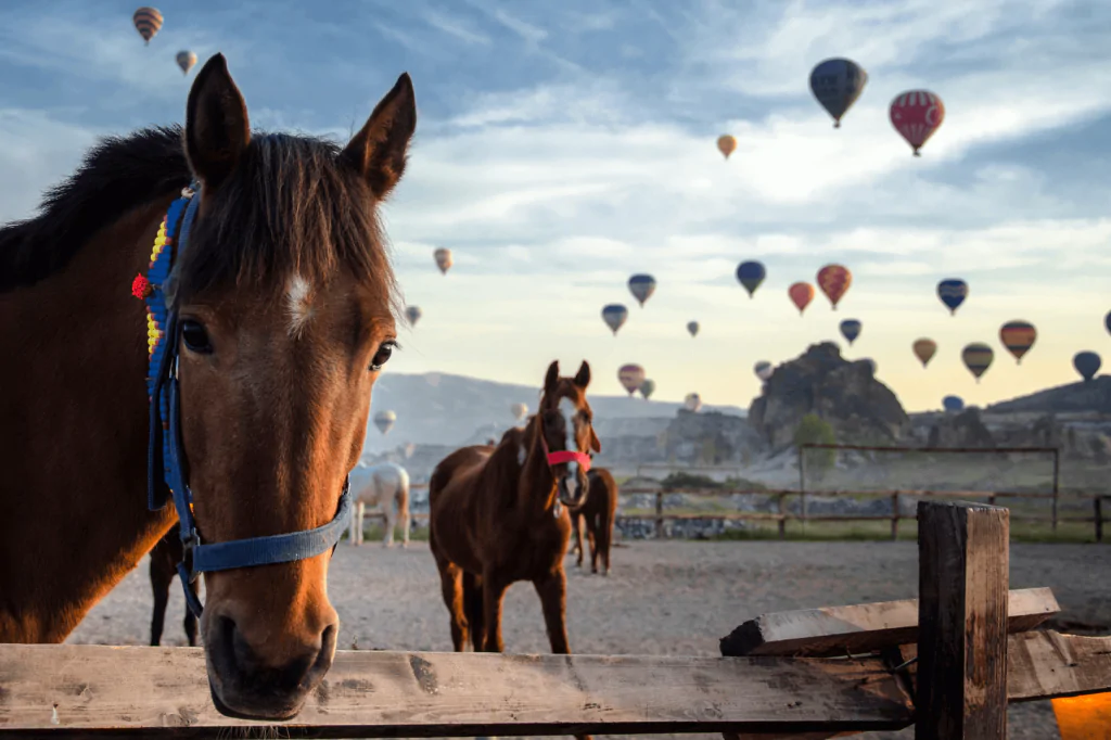 Horse Riding in Cappadocia