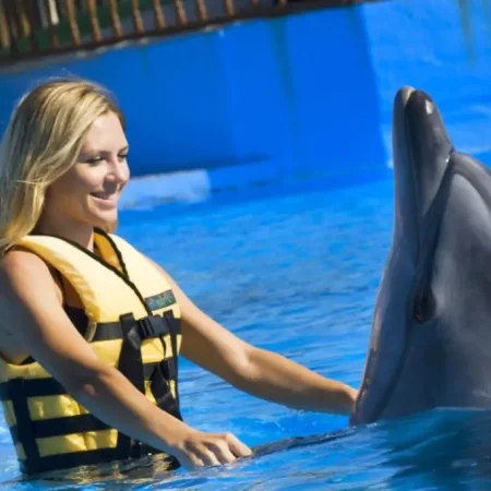 Adaland Dolphin Show in Kusadasi