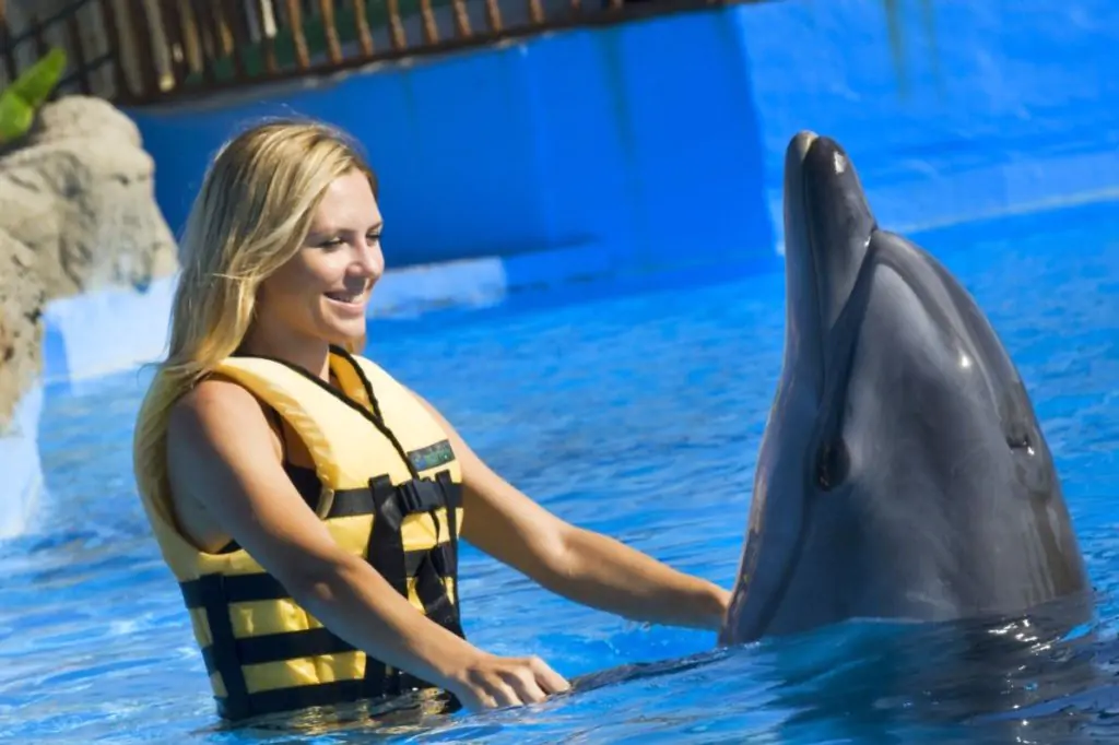 Adaland Dolphin Show in Kusadasi