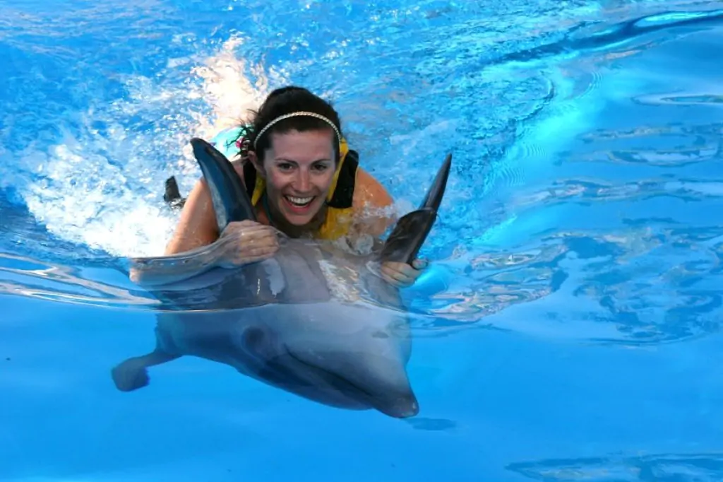 Adaland Dolphin Show in Kusadasi