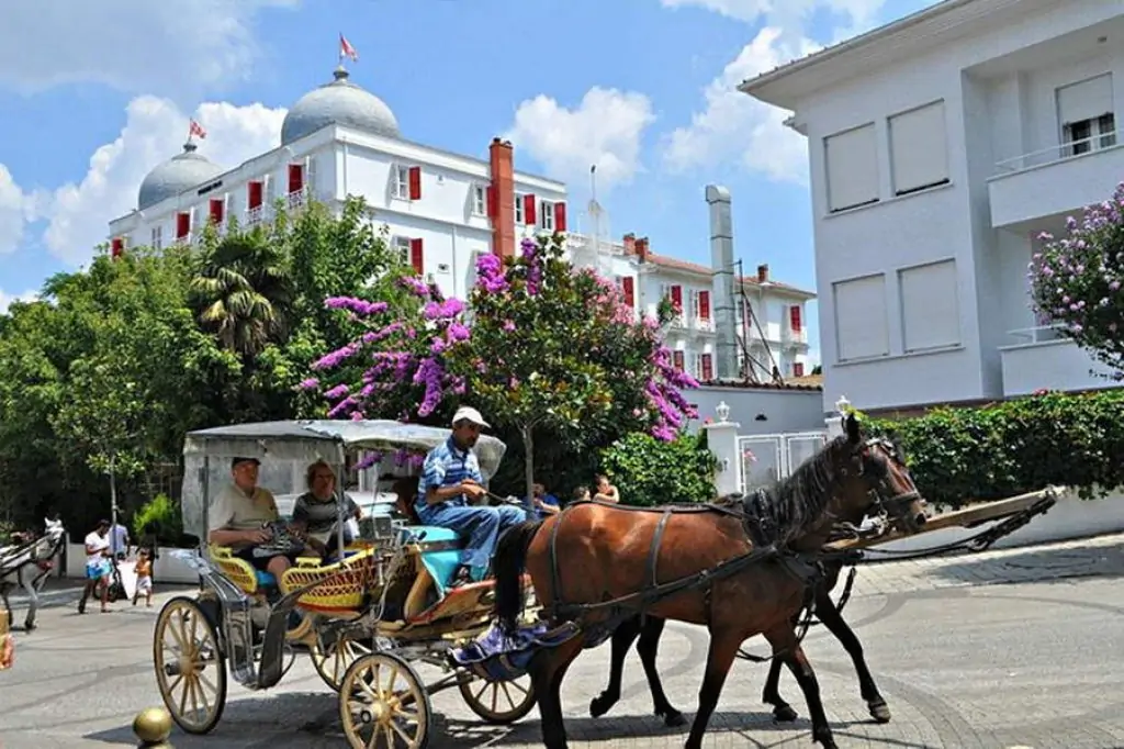 Full Day Princess Island Tour from Istanbul