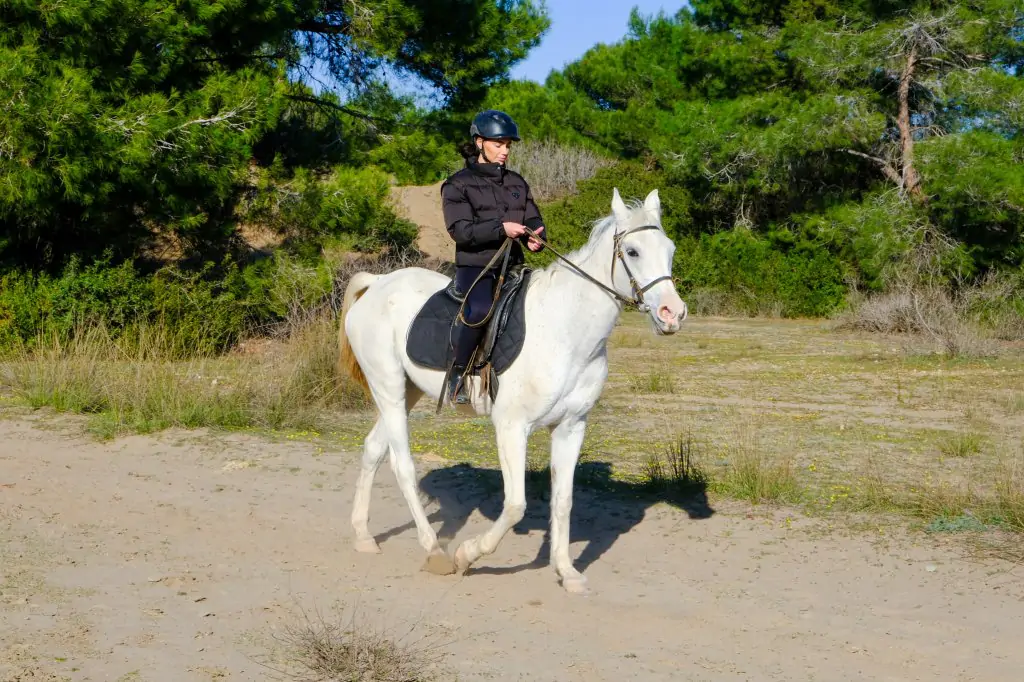 Horse Riding Experience in Antalya