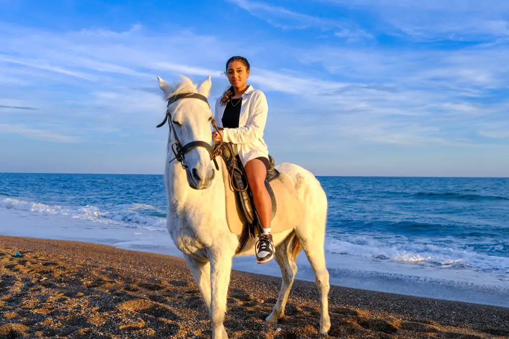 Horse Riding Experience in Antalya