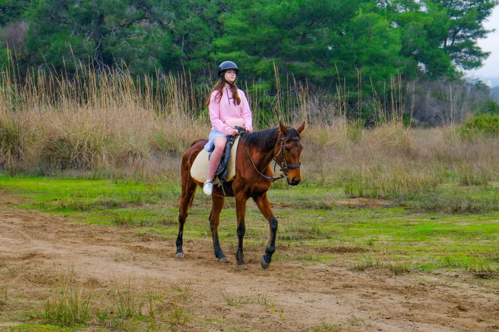 Horse Riding Experience in Antalya