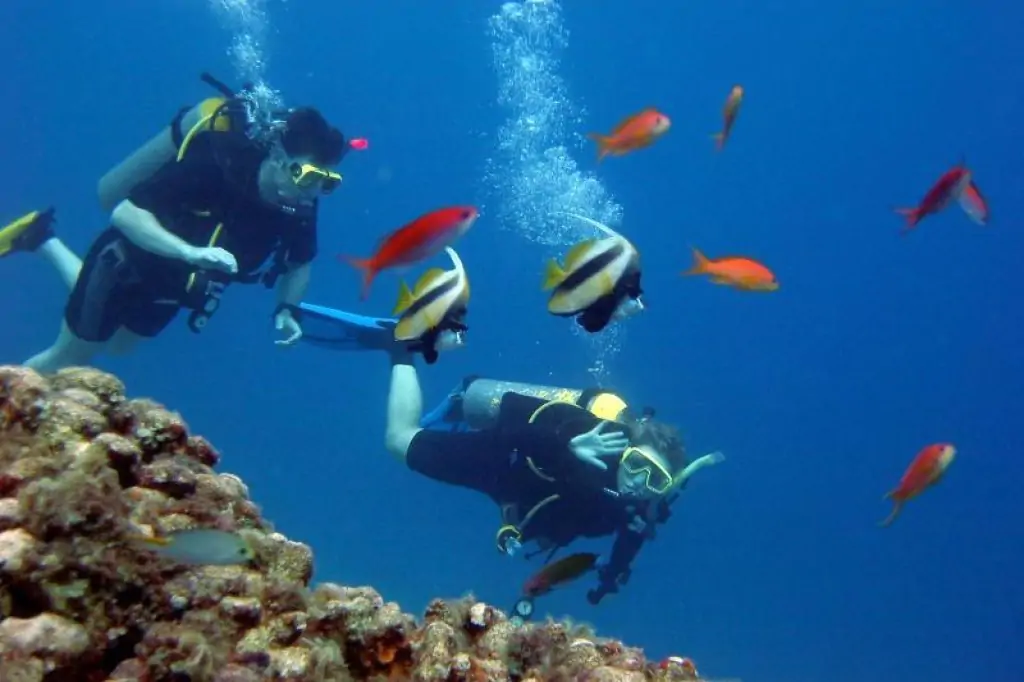 Scuba Diving in Kusadasi