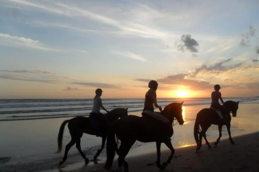 Horse Riding in Kusadasi