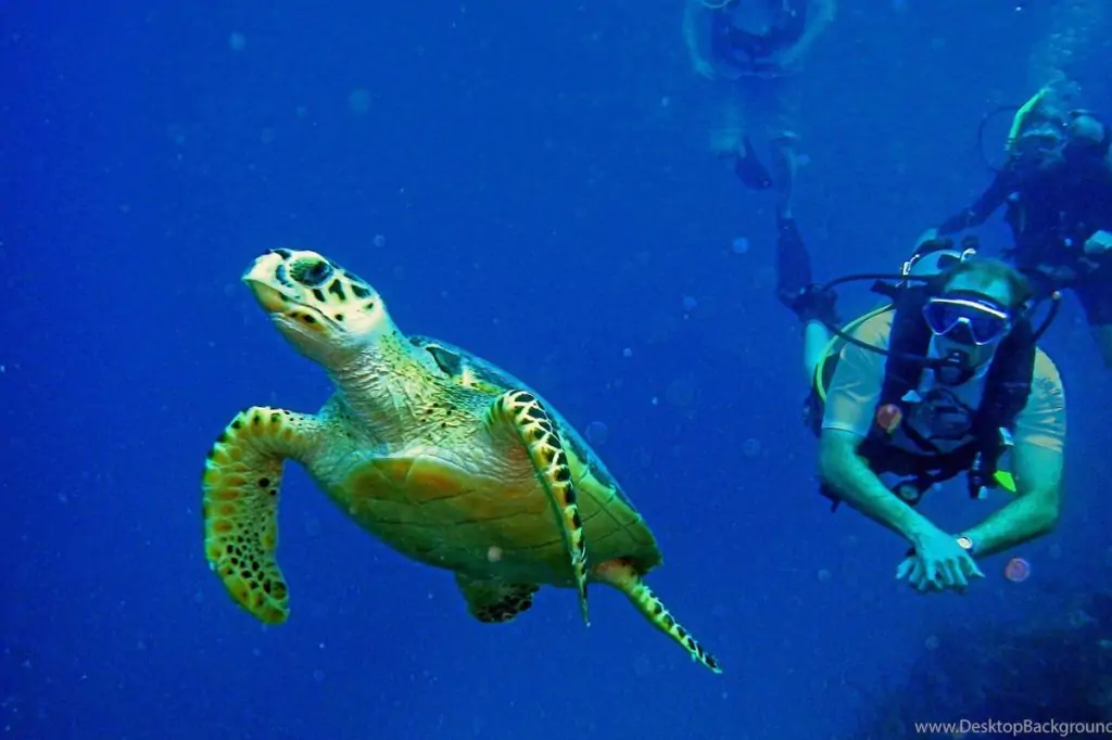 Alanya scuba diving