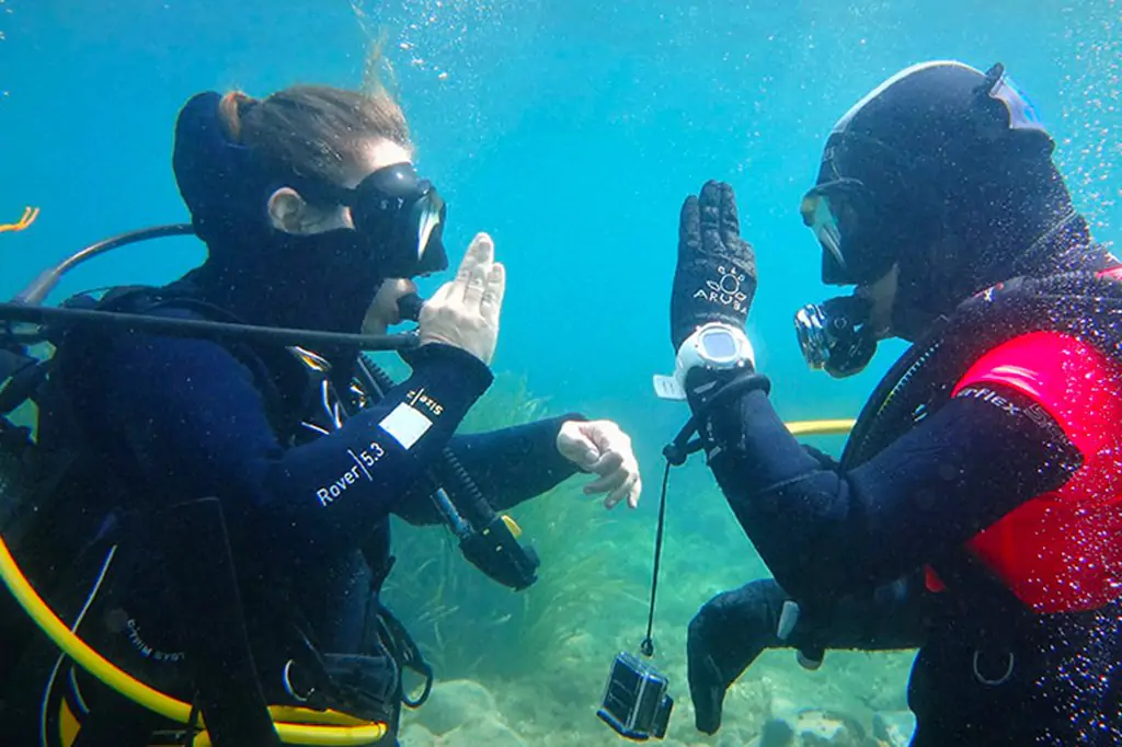 Bodrum Diving Tour