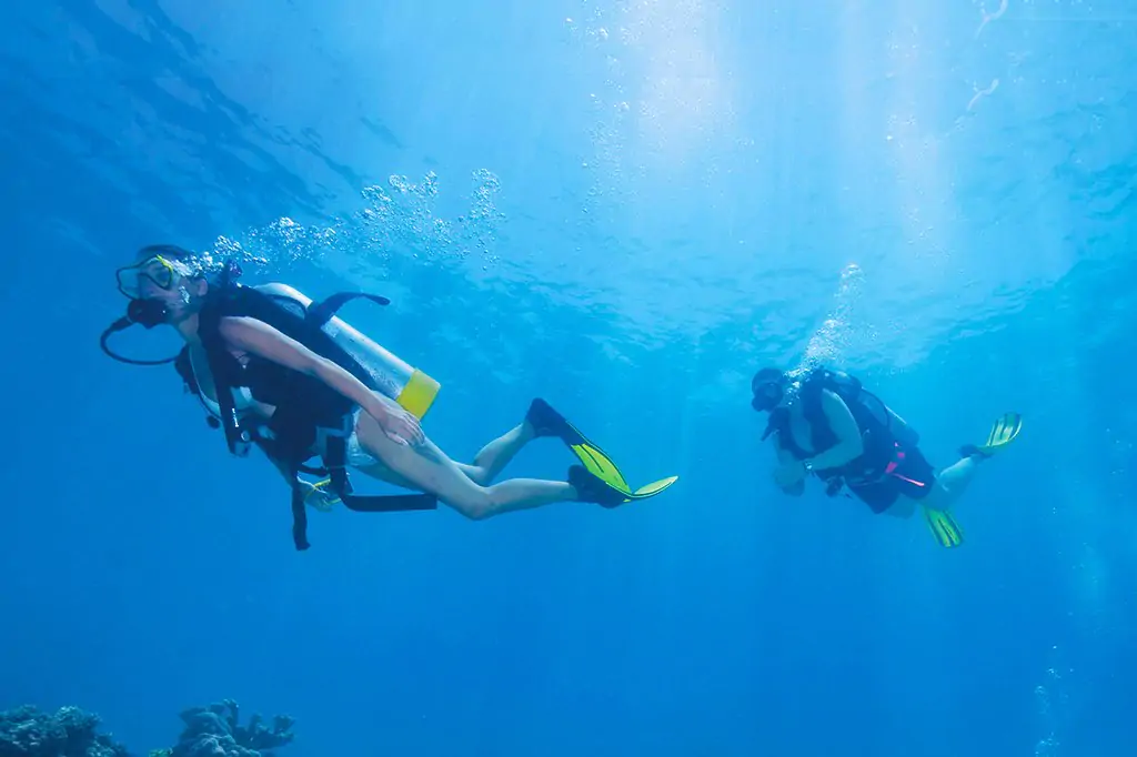 Bodrum Diving Tour