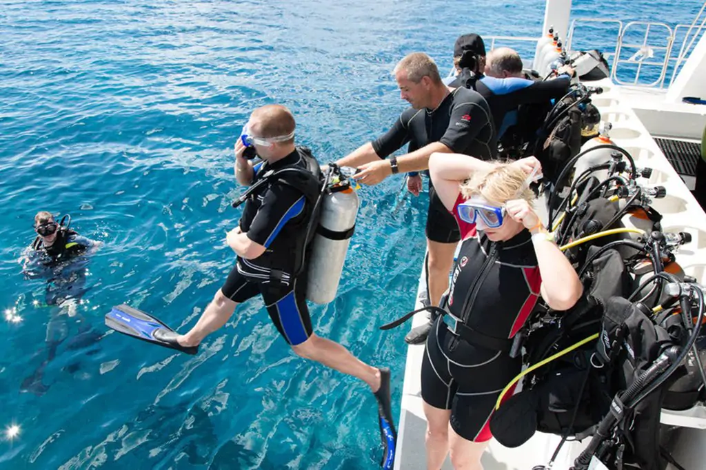 Bodrum Diving Tour