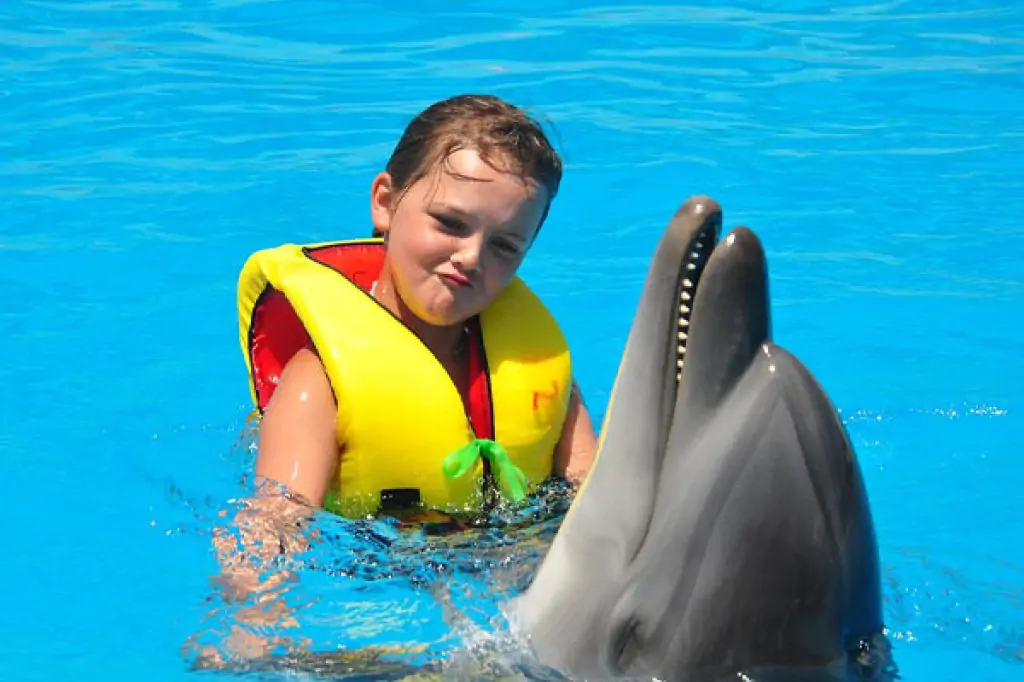 Bodrum Swimming with Dolphins