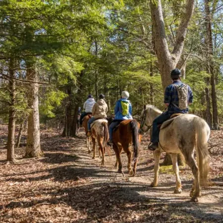 Bodrum Horse Riding