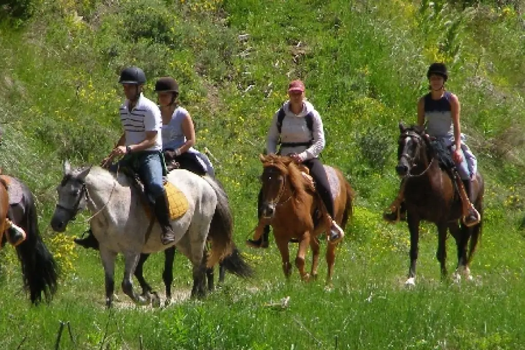 Bodrum Horse Riding