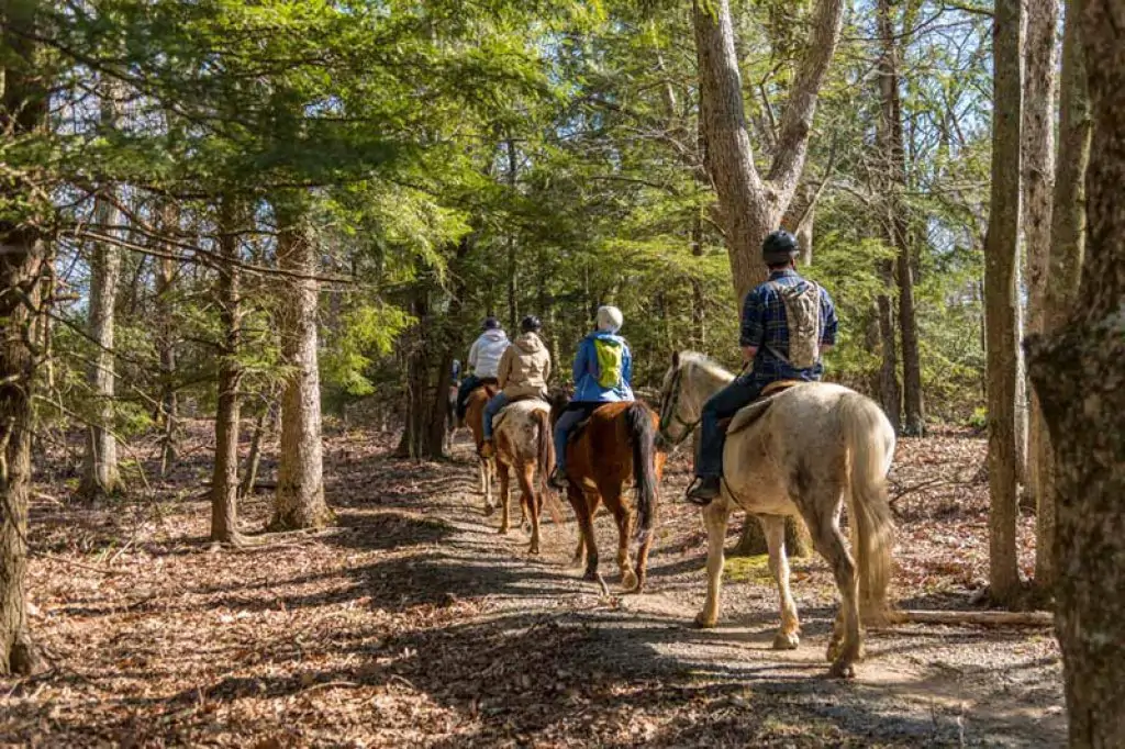 Bodrum Horse Riding