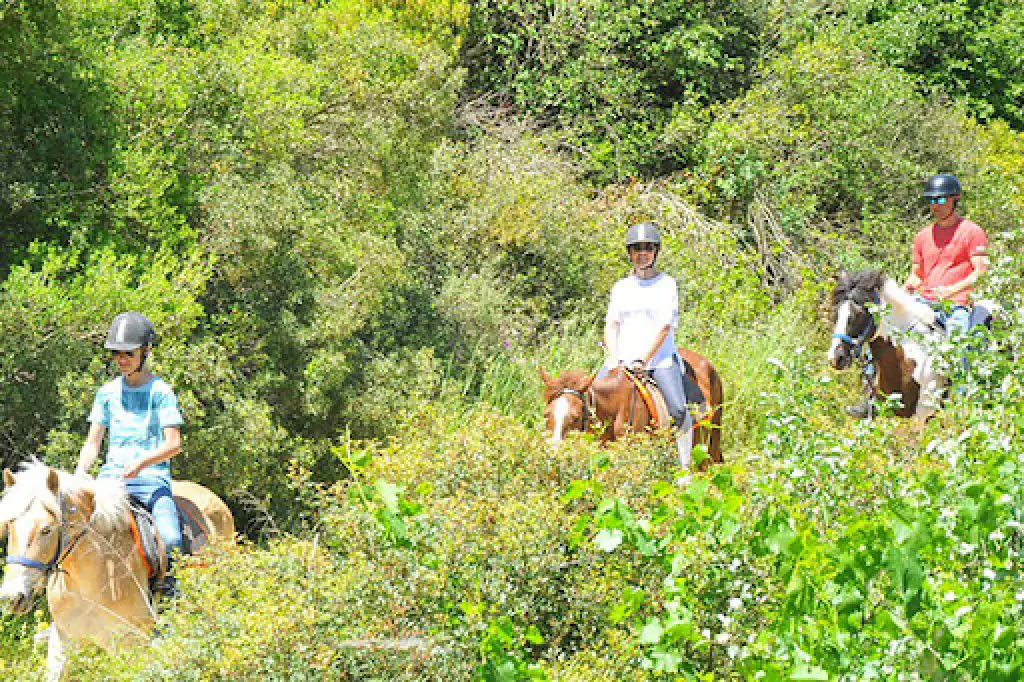 Bodrum Horse Riding