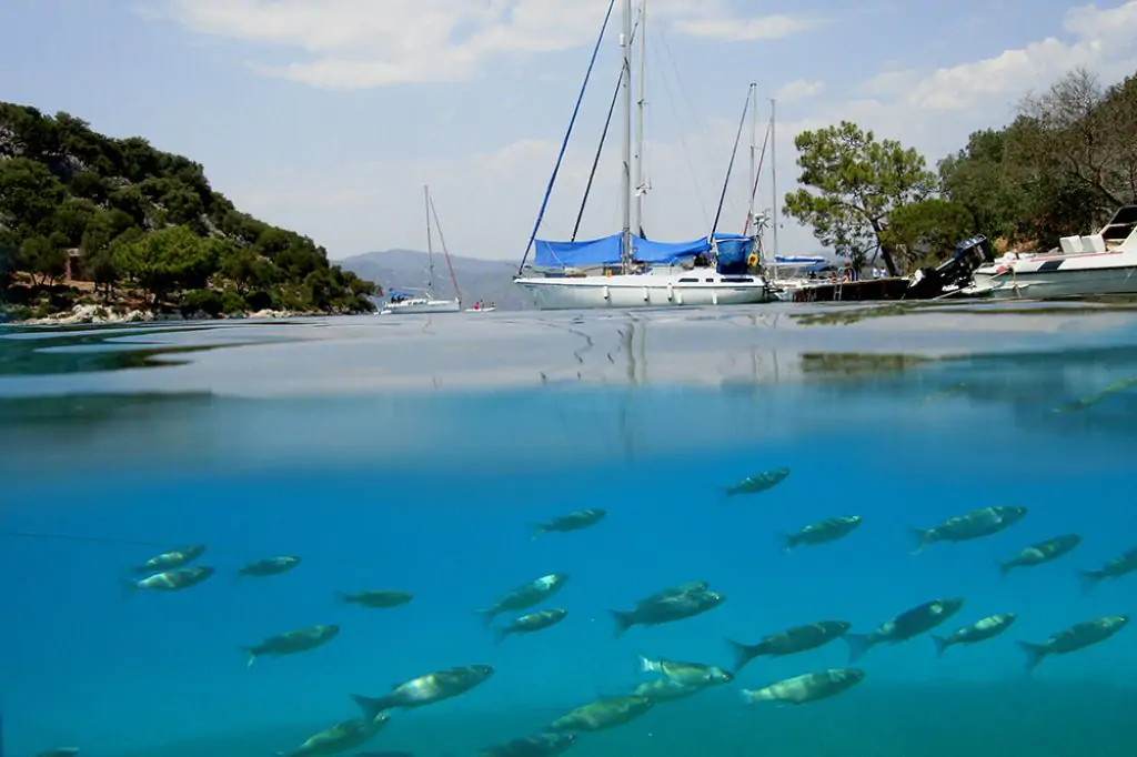 12 Island Boat Trip