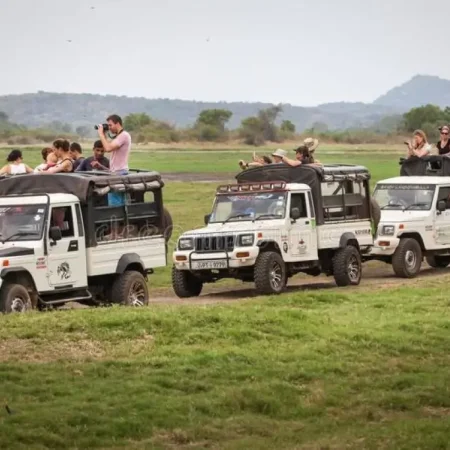 Safari in Yala National Park