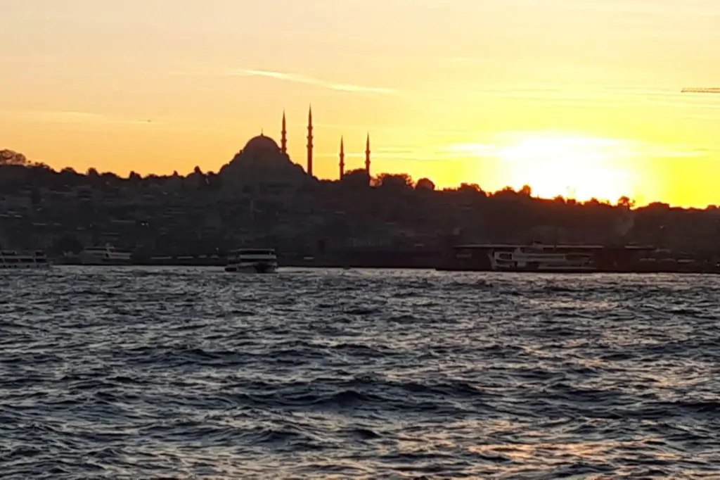 Half Day Bosphorus and Golden Horn Tour with Lunch